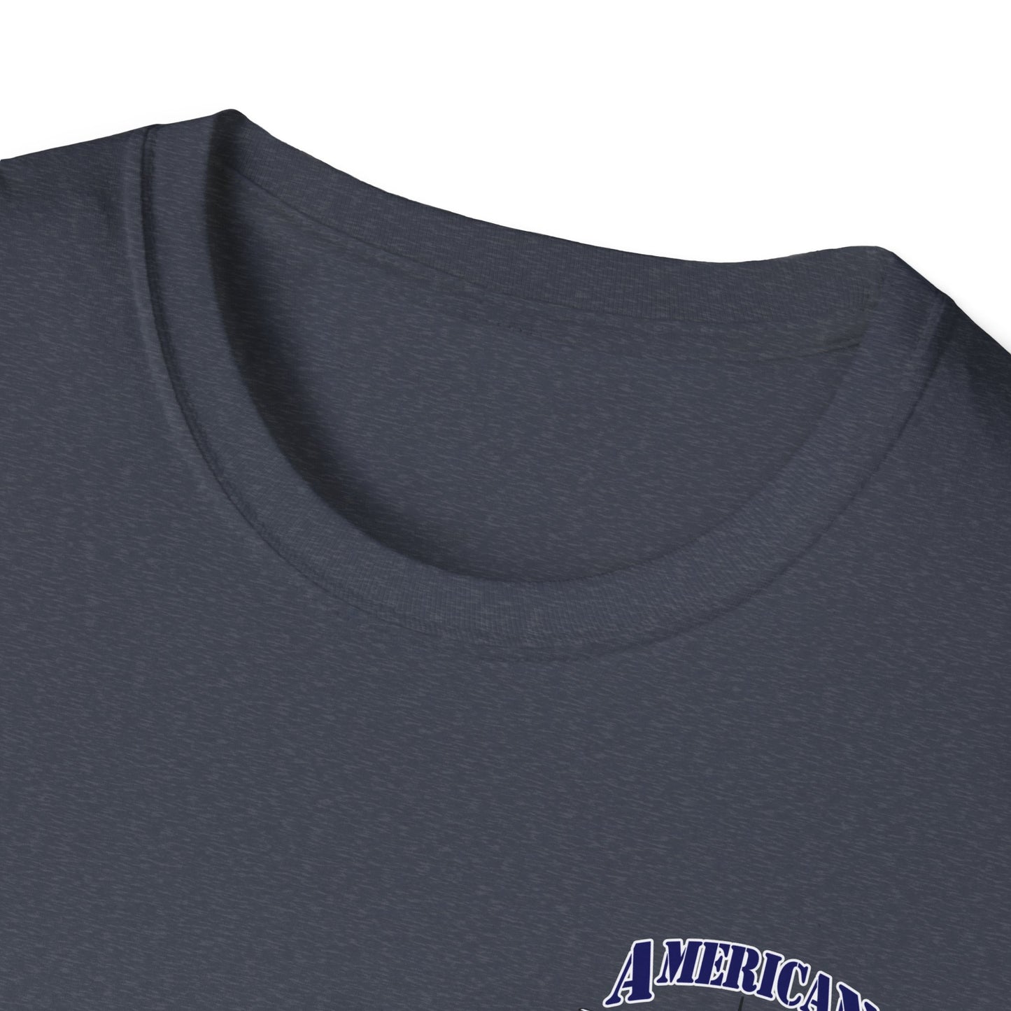 American Warbirds P-40 Warhawk T-Shirt Unisex Softstyle T-Shirt