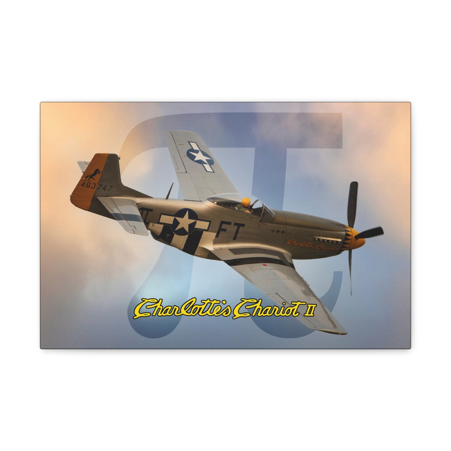 Southern Heritage Aviation Foundation Charlotte's Chariot II Canvas Gallery Wrap