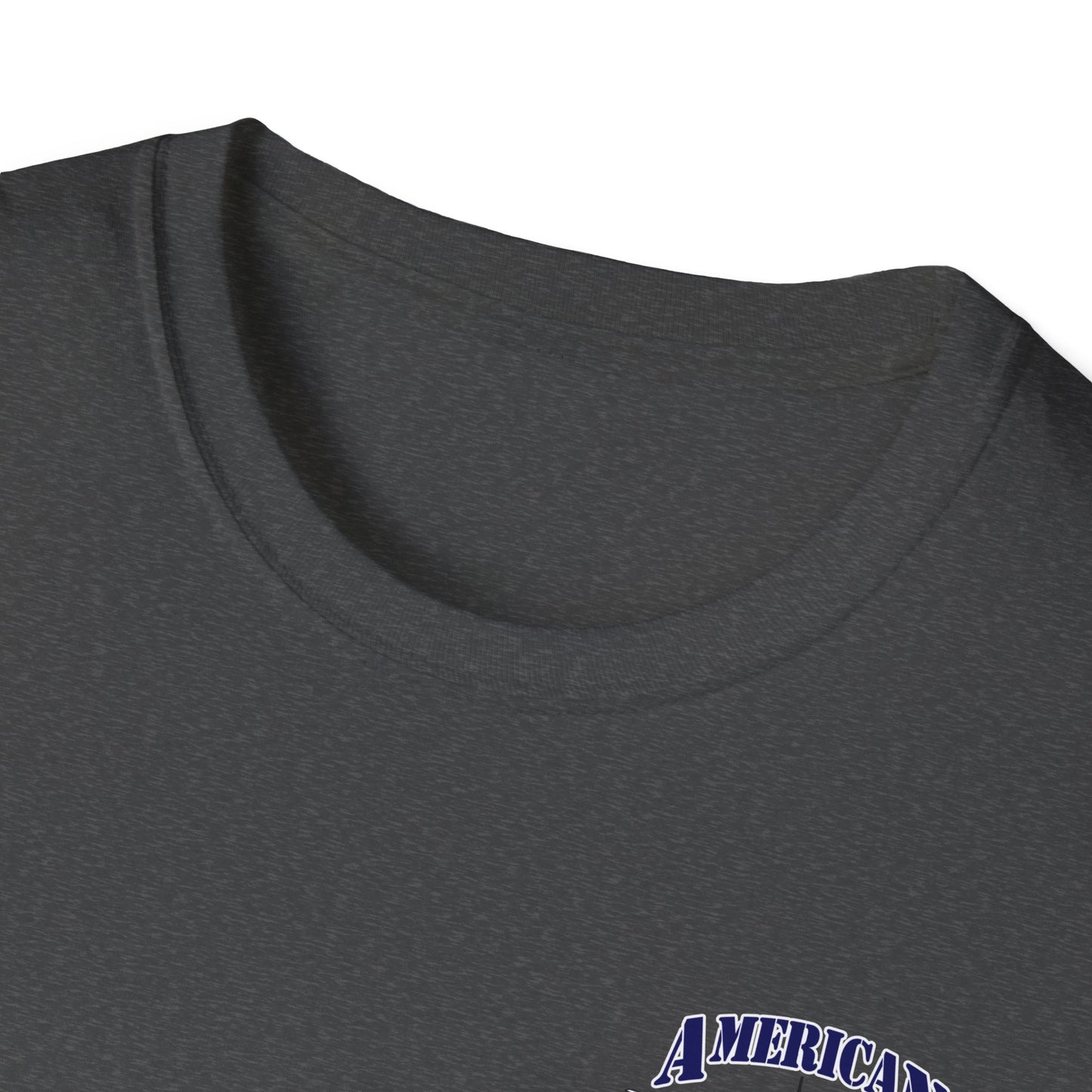 American Warbirds P-40 Warhawk T-Shirt Unisex Softstyle T-Shirt
