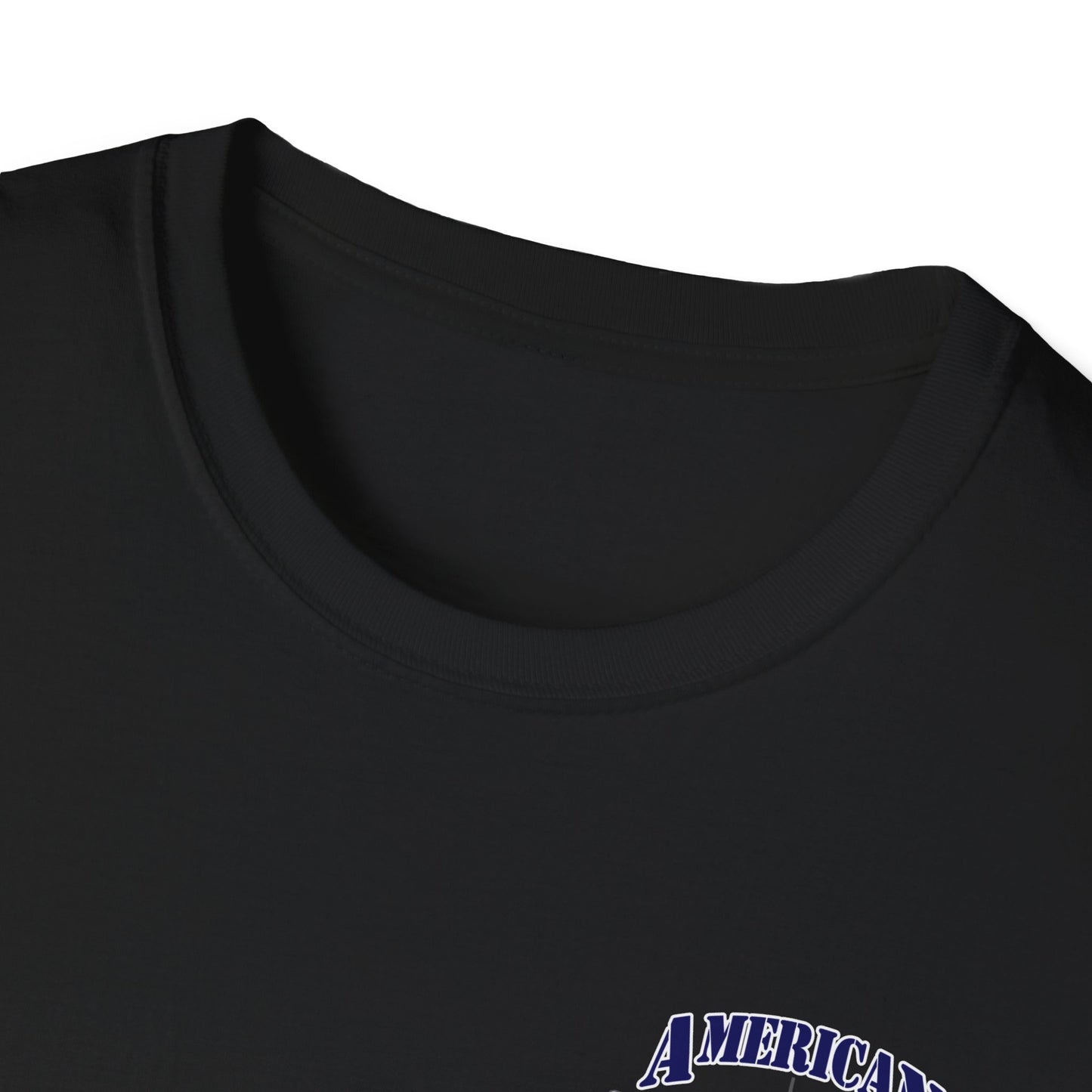 American Warbirds P-40 Warhawk T-Shirt Unisex Softstyle T-Shirt